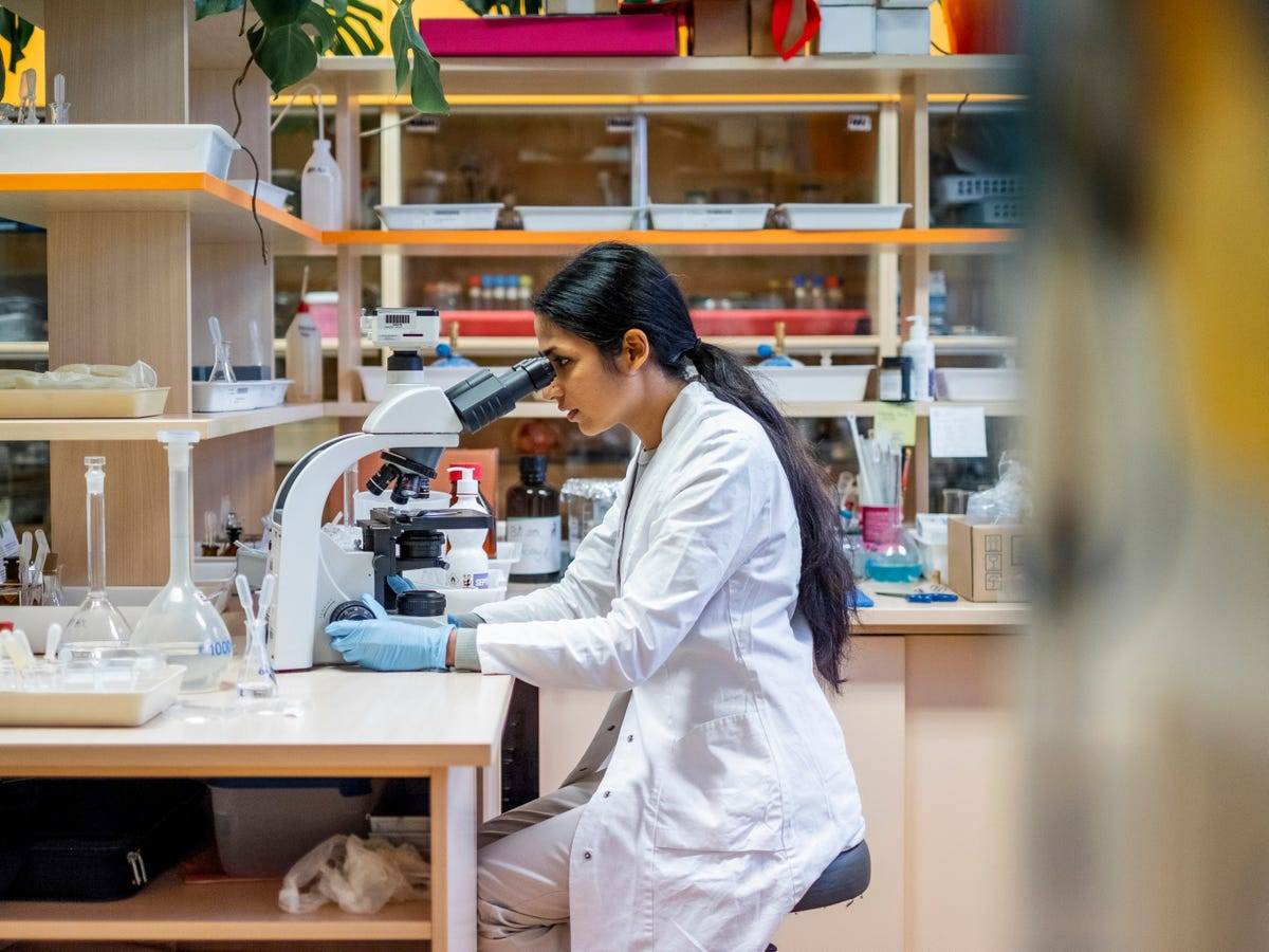 为什么实验室房地产热潮正在降温